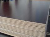 Particle Board