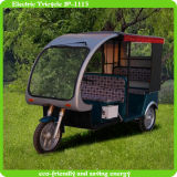 12V 120ah Electric Adult Tricycle for Passengers Made in China