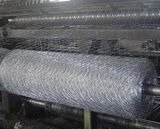 Hexagonal Wire Mesh (WE)