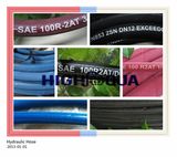 Hydraulic Hose SAE 100 R2at