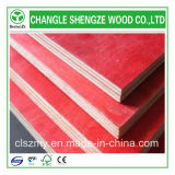 Hot Sale Red Lacquer Shuttering Plywood