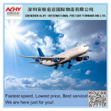 China Professional Air Freight, Air Cargo, Air Shipping Service