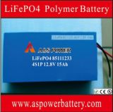 4s1p 12.8V 15ah Prismatic LiFePO4 Battery Pack for Ev