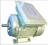 AC Single Phase Electric Motor (YL)