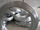 Electrical Galvanized Wire