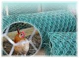 Poultry Netting