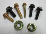 Stainless Steel Flange Bolts Nuts