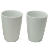 Porcelain Double-wall Mug (BL091)