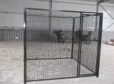 Galvanized Steel Wire Mesh Dog Kennel