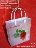 Shopping Carrier Bag