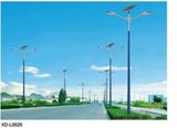 Solar Street Lighting