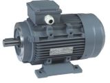 Electric Motor Ie1 Cast Iron with CE