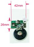 Greeting Card Sound Module with Motion Sensor