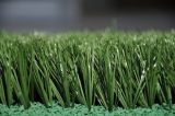 Synthetic Turf for Landscaping (TMS)