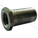 Hex T Nuts with Carbon Steel (HK057)