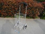 Folded Shopping Cart