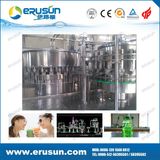 Fruit Juice with Fruit Meat Filling Plant