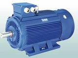 Y2 Low Voltage High Output Electric Motor 500kw-6