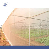 Insect Prevention Net for Horticultural Greenhouse