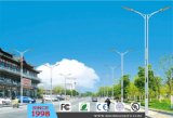 All in One LED Outdoor Street Light (DL0020)