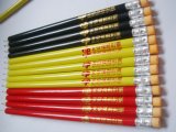 Long Student Pencil with Eraser Tc-P002