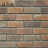 Classic Culture Brick Wall Veneer Building Decoration (10060)