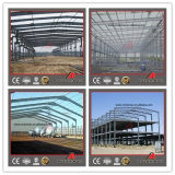 New Building Material Steel Structure for Warehouse