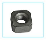 DIN557/ JIS1163 /Hot Galvanized Square Nuts