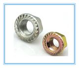 Zinc Plated Flange Nuts (DIN6923)