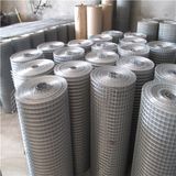 Galvanized Iron/ PVC Coated Welded Wire Mesh