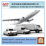 Air Shipping/Air Cargo From China to Philippines/Malaysia/Singapore/Indonesia