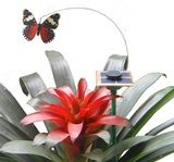 Green Energy Product Intellectual DIY Solar Toy Kit Insect Butterfly 021