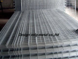 Galvanized Wire Mesh for Fence