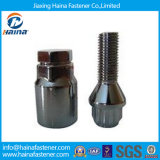 Customized Bolts and Nuts Black Auto Fastener