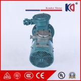 Variable Frequency Drive Electric Motor