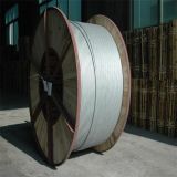 China Whole Sale Galvanized Steel Wire Galvanized Strand Wire
