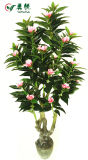 Yongyue 0783 New Style 5.25 Ft Artificial Camellia Bonsai Tree for Wholesale