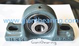 Pillow Block Ball Bearing Cast Iron Housing P203