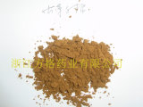 Edible and Medicine Fungi; High-Quality Polysaccharide Products; Cordyceps Sinensis Extract