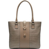 Guangzhou Elegant Bags Factory Leather Handbags Wholesale Designer Handbags (YH96-B3076)