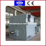 Vacuum Motor, AC Motor, DC Motor