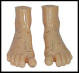 Massage Foot Model (M-9-17) Acupuncture