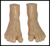 Massage Foot Model (M-9-17) Acupuncture