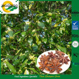 Herb Illicium Verum Star Anise for Culinary Use Medicinal Use