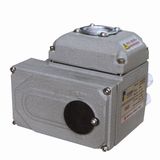 Electric Actuator (BN)