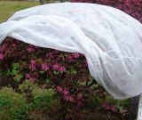 Nonwoven Fabric for Plant Cover