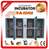 Compeitive Price Fully Automatic Chicken Large Egg Inucbator (VA-22528)