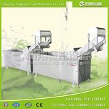 Vegetable/Fruit Washing & Disinfection Line (DBWA-1000)