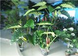 Popular Beautiful Cheap Wholesale Artificial Tropical Flower Plant 541