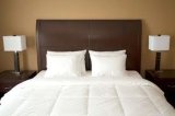 Down Bedlinen in White Color (A0004)